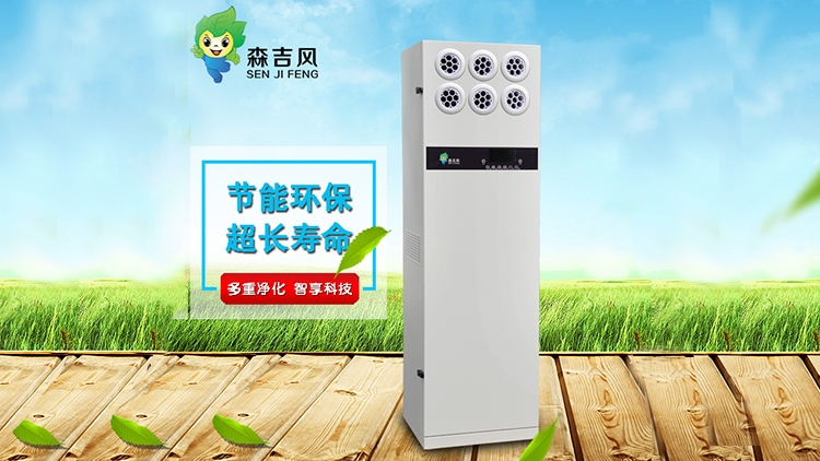 1565571156134063.jpg 3.jpg