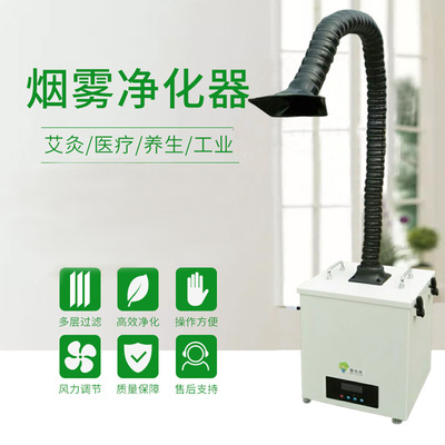 專業(yè)艾灸煙霧凈化器(除煙型)